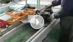 辰力手拉葫蘆車間，手拉葫蘆流水作業中